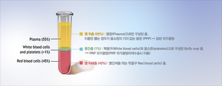 3. 맨 아래층 (45%) : 빨간색을 띄는 적혈구 Red blood cells) 층.
 
2. 중간층 (1%) : 백혈구(White blood cells)와 혈소판(platelets)으로 구성된 Buffy coat 층.PRP 자가혈청(PRP 자가혈청라섹수술시 이용)

1. 맨 위층 (55%) : 혈장(Plasma)으로만 구성된 층. 
이층만 뽑는 경우가 혈소판의 거의 없는 혈장 (PPP)일반 자가혈청
